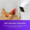 imageRoku Battery Camera for Home Security  New 2025 WeatherResistant Indoor ampamp Outdoor Wireless Camera ampamp Pet Monitor with 1080p HD ampamp TwoWay Audio  Rechargeable Motion Detection ampamp WiFiBattery Camera Plus