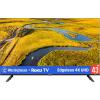 imageWestinghouse Edgeless Roku TV  43 Inch Smart Television 1080P LED FHD wWiFi ampamp Mobile App Connectivity Flat Screen Compatible wApple AirPlay Alexa ampamp Google Assistant43 Inch